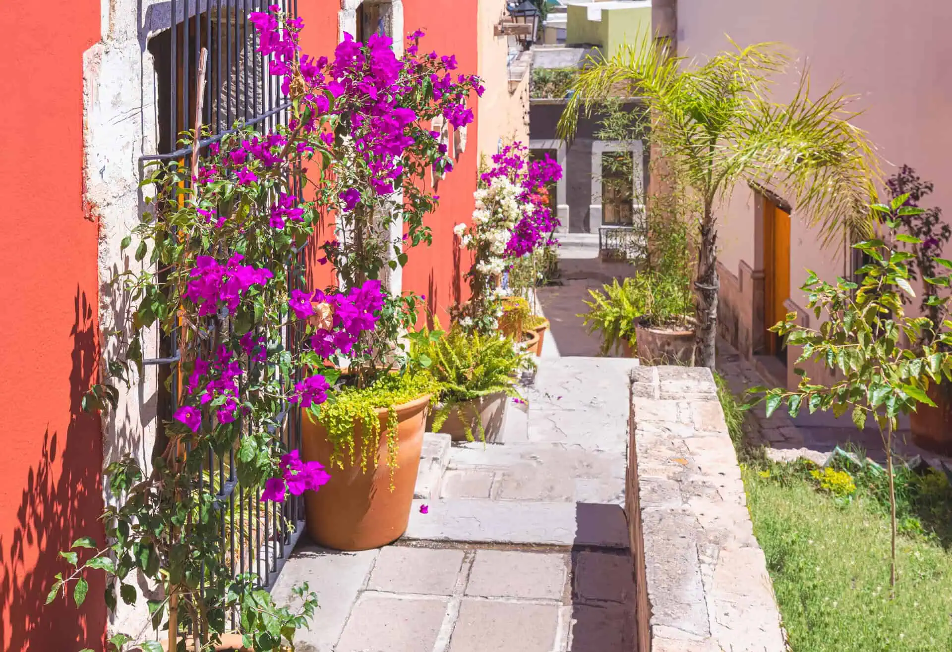 durango mexico-2407