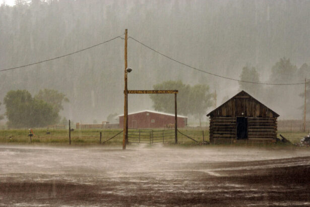 Messico_060525-1024×685.jpg - El clima en Nuevo México: intensas lluvias y nieve esta semana