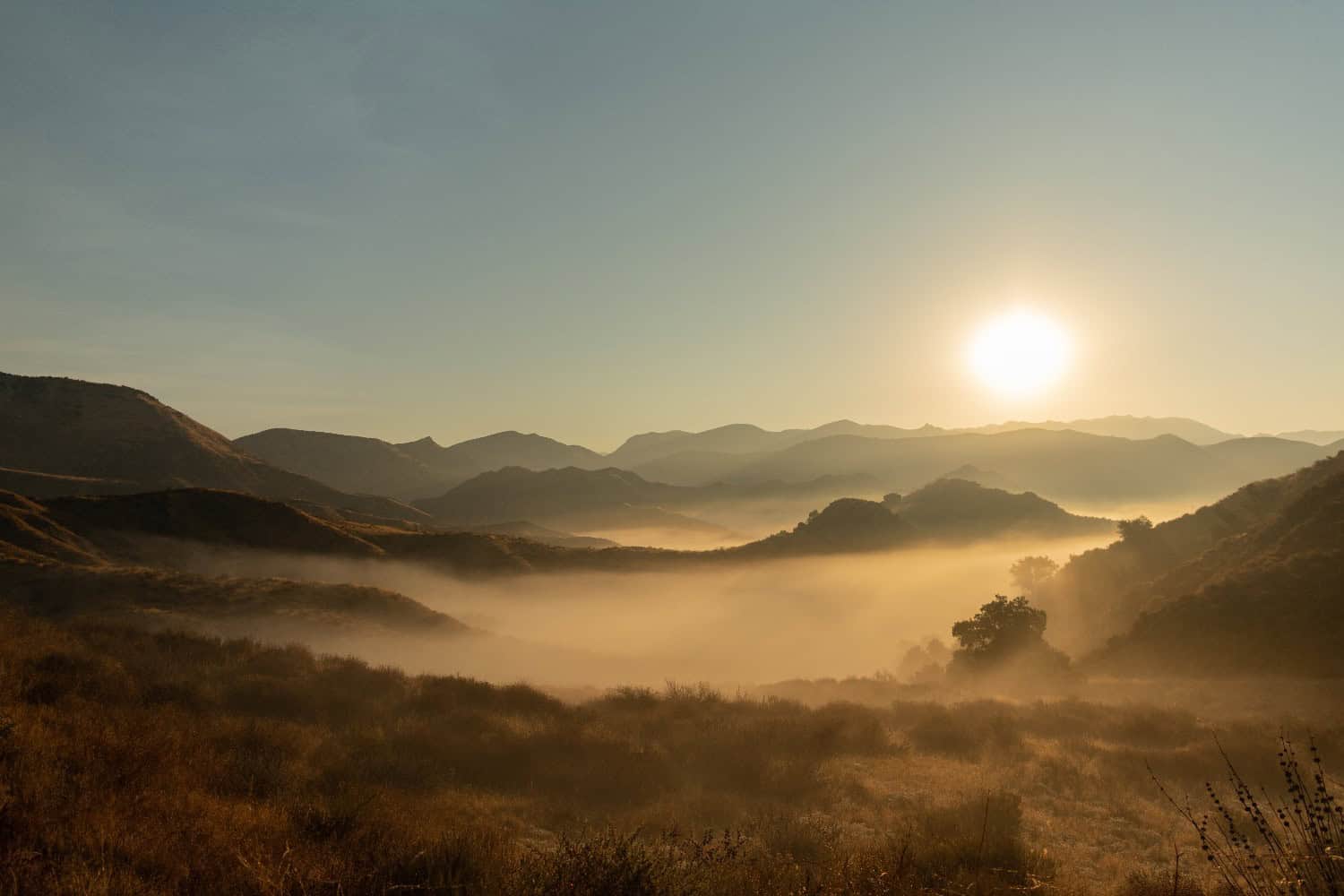 nebbia in california_090525 - 